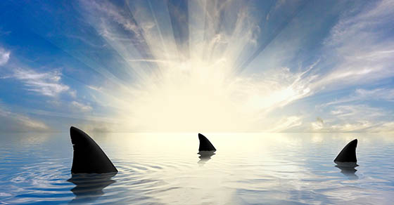 Sharks in the Water: Watch Out for Predatory Lenders